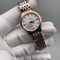 Omega-Diamond-Rome-White-Dial-Gold Replica
