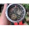 Roger-Dubuis-G041C-Excalibur-Spider-Skele-Flying-Tourb-TI-RU-Red-BBR Replica