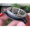 Roger-Dubuis-G041C-Excalibur-Spider-Skele-Flying-Tourb-TI-RU-Red-BBR Replica