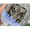 RM056-02-Transparent-Tourbillon-EURF-Best-Edition-Skeleton-Dial-on-Rubber-Strap Replica