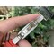 RM035-02-Real-NTPT-ZF-1-1-Best-Edition-Skeleton-Dial-on-Red-Rubber-Strap-V3 Replica