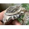 Avenger-II-Seawolf-Chronograph-PVD-OXF-Best-Edition-Black-Dial-on-Black-SS-Strap-7750 Replica