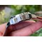 PN005XLE-PAM005-Luminor-Marina-44mm-SS-LE-Blk-XF-A6497 Replica