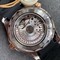 Omega-Seamaster-Diver-300M-SS-RG-VSF Replica