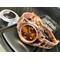 Daytona-116505-RG-Noob-1-1-Best-Edition-904L-SS-Case-and-Bracelet-Chocolate-Dial-SA4130-V4 Replica
