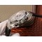 AP0608A-Royal-Oak-Chronograph-1-1-Best-Edition-26331ST-SS-LE-White Replica