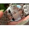 Mark-XVIII-V7F-1-1-Best-Edition-Brown-Dial-on-SS-Bracelet-Swiss-ETA2892 Replica