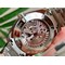 Omega-Aqua-Terra-co-axial-white-wave Replica