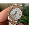 Rolex-DJ-Midsize-31mm-Jub-Flt-RG-SS-P-Wht-Stk-1-1-Best-Edition-Version Replica