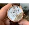 PanoInverse-42mm-RG-TZF-Best-Edition-Silver-White-Dial-on-Brown-Leather-Strap-A23J Replica