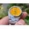 Rolex-Oyster-Pert-31mm-277200-SS-SS-Yellow-EWF Replica
