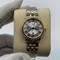 Tissot-Classic-White-Dial-SG-Gold-Rome Replica